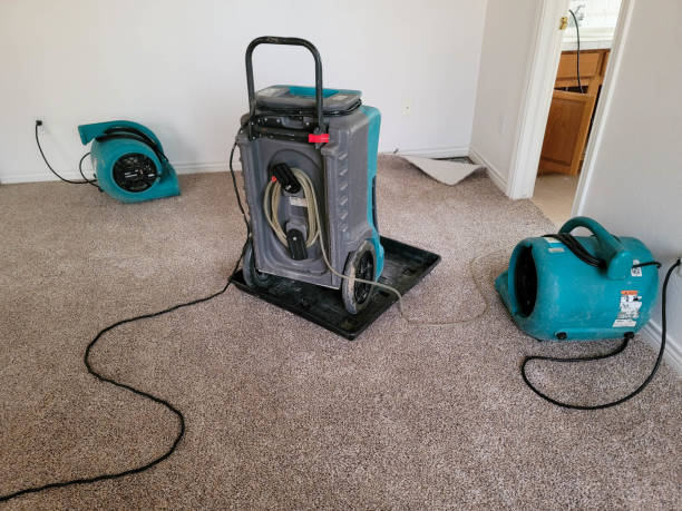 Best Water damage repair service  in Moss Point, MS