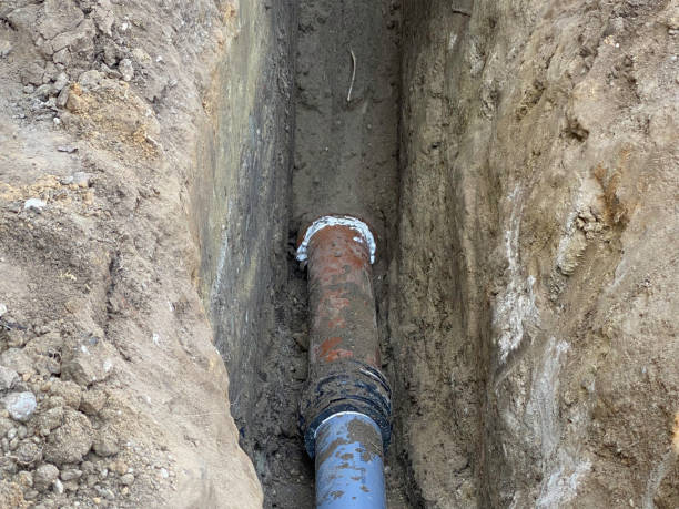 Best Basement water damage restoration  in Moss Point, MS