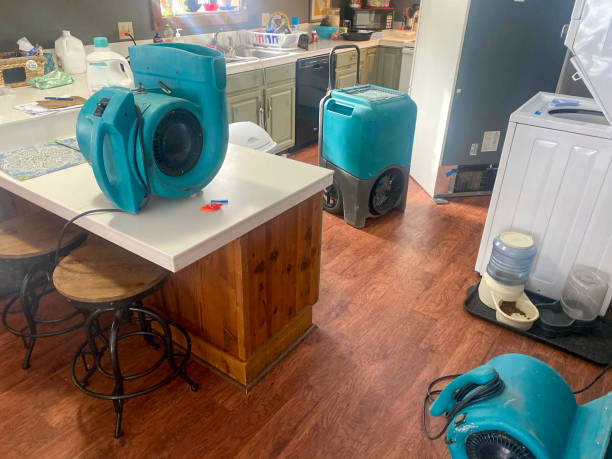 Best Flood restoration services  in Moss Point, MS