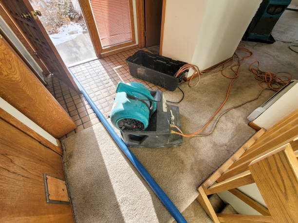 Best Local water damage restoration  in Moss Point, MS