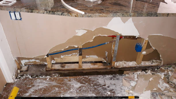 Best 24/7 water damage repair  in Moss Point, MS