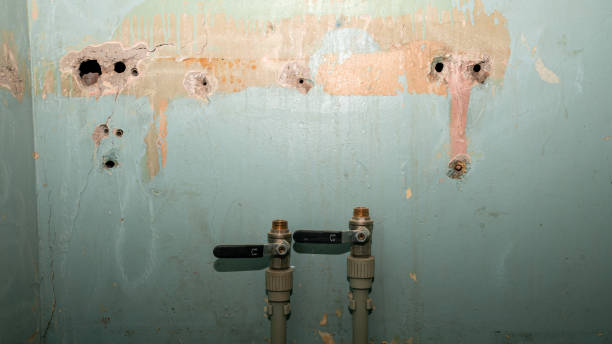 Best Professional water damage repair  in Moss Point, MS