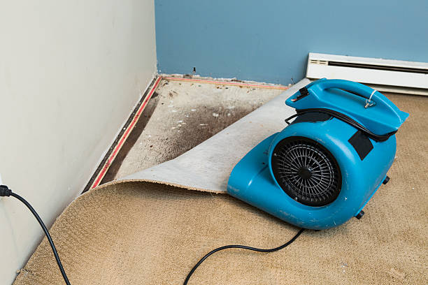 Best Water damage restoration near me  in Moss Point, MS